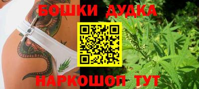 мдпв Кохма